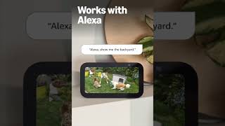 🛒 Amazon Afiliados | ¡Mejora Tu Seguridad Ahora con Ring Spotlight Cam Solar! ☀️🏡