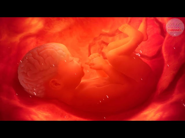 🎵🎵 Pregnancy Music to Make Baby Kick Inside The Womb 🧠👶🏻 Brain Development 🎵🎵 class=