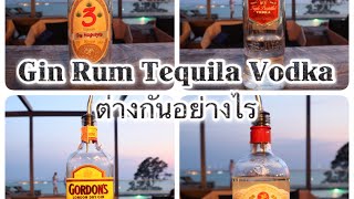 Gin rum tequila vodka ต่างกันยังไง ความแตกต่างของเหล้า