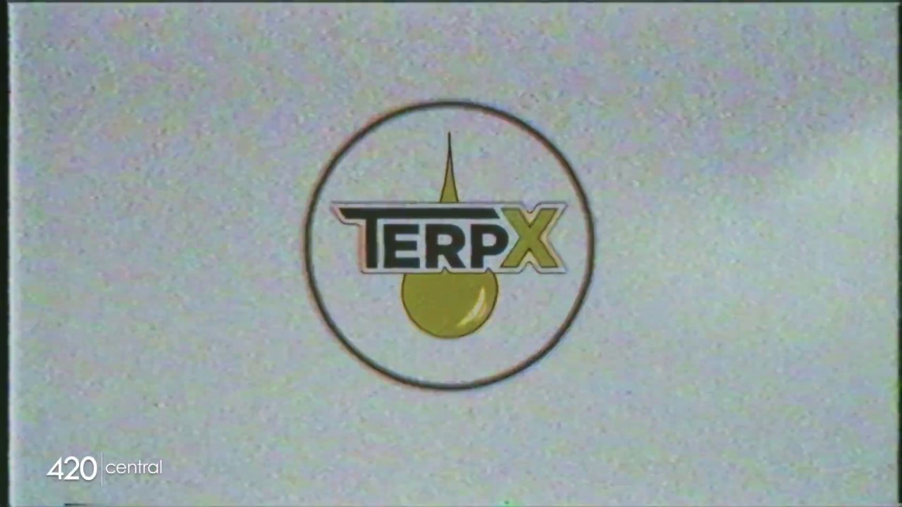 Terp X Concentrate Gorilla Glue #4 | 420 Central