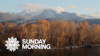 Nature: Fall in Montana