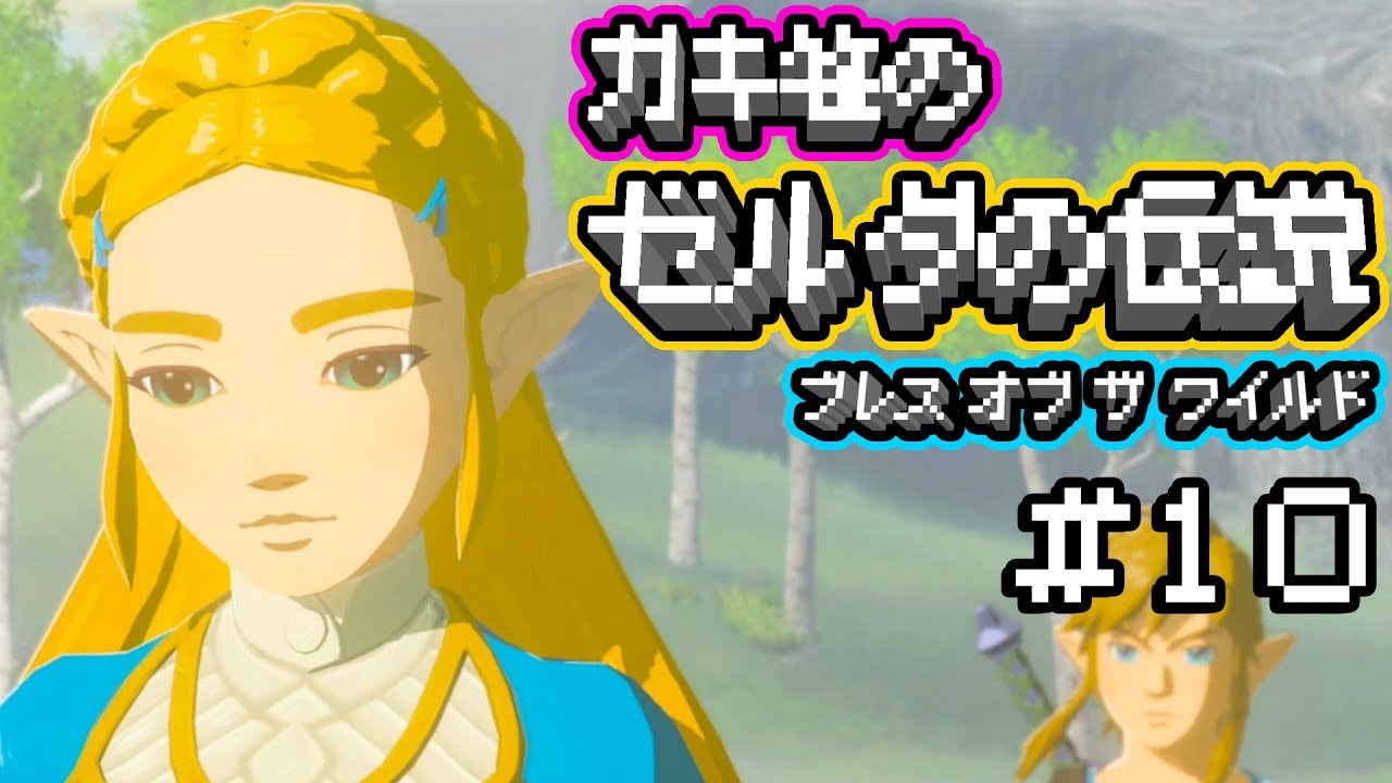 ゼルダの伝説 ブレス オブ ザ ワイルド 実況 10 可愛い過ぎるゼルダ姫 Botw Youtube