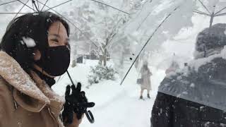 SHIRAKAWA-GO Japanese Village | Heritage Site | Gifu,Japan