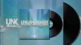 Ungangishayi (official audio)