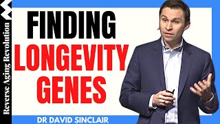 Finding LONGEVITY GENES | Dr David Sinclair Interview Clips | Reverse Aging Revolution