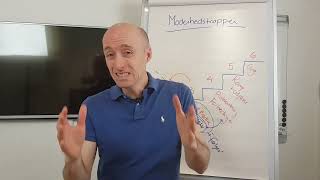Organizational Maturity Level