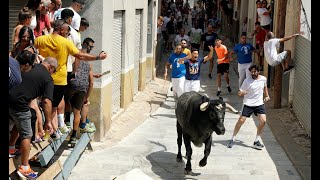Primer Encierro de la Feria Taurina de Blanca 2025