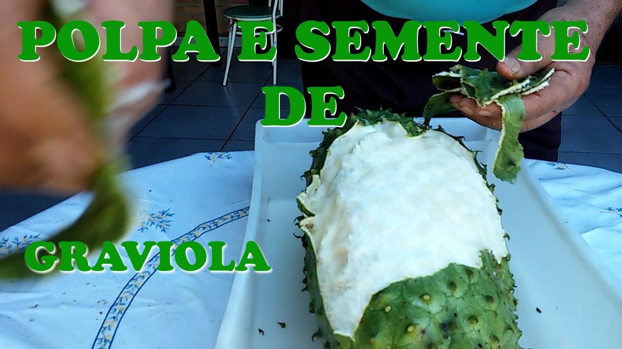 POLPA E SEMENTE DE GRAVIOLA - YouTube
