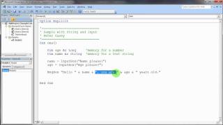 Sample with String, InputBox, and String Concatenation Wealth
