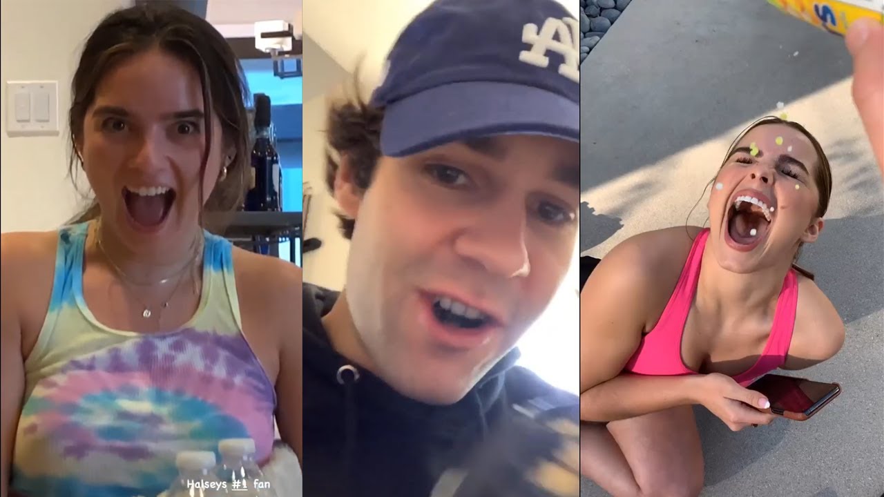 David Dobrik Walks In On Natalie and Todd - Vlog Squad Instagram Stories 70...