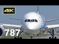 [4K] Boeing 787 at Fukuoka Airport - Japan Airlines and All Nippon Airways / 福岡空港 787  / Fairport