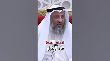 ابعاد القط من المنزل 