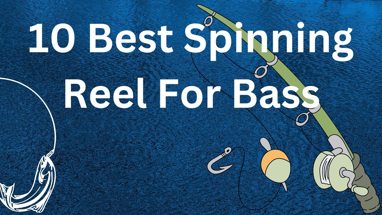 Best Spinning Reel For Bass Buying Guide & Reviews YouTube