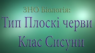 зно біологія тип плоскі черви клас сисуни