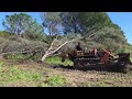 Treuillage d'arbres tombés pendant la tempête Nils du 12 février 2026