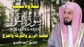 سورة يس بصوت رعد الكردي 🎧💔 | تلاوة خاشعة تهز القلوب وتُريح النفس | Surah Yaseen by Raad Al Kurdi
