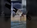 ايه القمر ده قولوا لي مين هو 