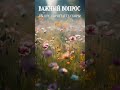 Что выбираете вы? Напишите в комментариях!