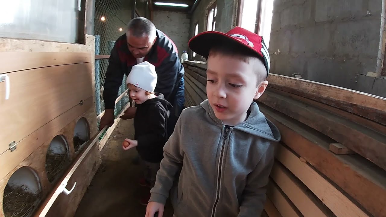 Денёк на даче (GoPro Hero 7 White)