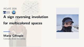 A sign reversing involution for multicolored spaces by Maria Gillespie