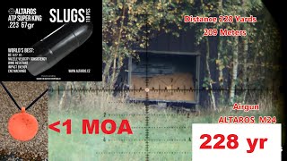 1 MOA target on 209m - .223 Airgun Altaros M24