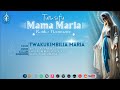 Daniel Ling Wentu Nishike Mkono Univushe Maria P F Mwarabu Official Visualizer 