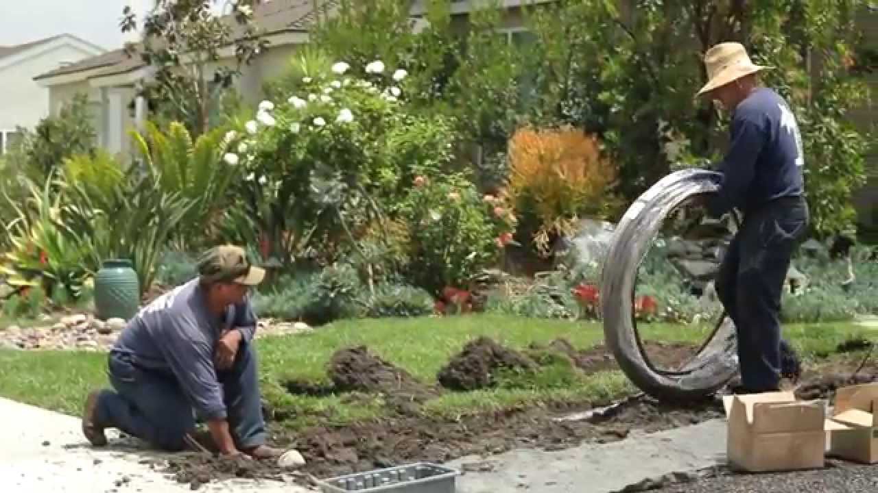 MISNODE 35 clip di collegamento regolabili per piante, 16 mm, connettore universale per piante, in plastica, 5 diversi tipi di connettori in plastica da giardino