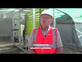 Veolia France -  Production of hydrogen fuel from wastewater sludge
