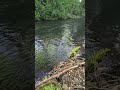 Río Voipir Villarrica