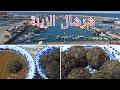 جولة في مدينة شرشال بتيبازة طبق صحي من التراث الكويرات Vlog à Cherchell Avec Plat Traditionnel