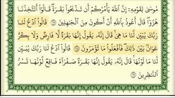 الربع الأخير من الحزب الأول (سورة البقرة) للقارئ الشيخ أيمن رشدي سويد 🌿