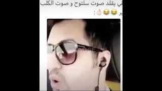 الي يقلد صوت سلتوح وصوت الكلب