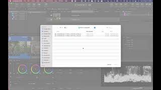 BLG Tools: Introduction to Livegrade Studio (English)