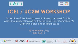 ICEL  /  UC3M Workshop