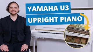 Yamaha U3 Acoustic Upright Piano Full Review & Playing Examples | Popplers Music