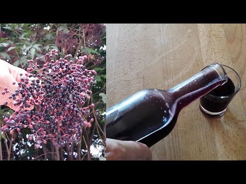 Video: Cherry Leaf Liqueur: Step By Step Photo Recipes For Easy Preparation