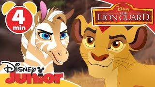 The Lion Guard | Fixing the Waterfall! 🌊 | Disney Kids