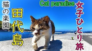 猫の島へ女子ひとり旅【宮城県石巻市の離島　田代島】そこはネコの楽園だった CAT ISLAND in Japan! Tashirojima