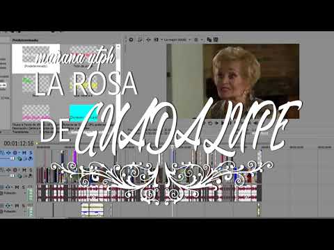 MAÑANA NUEVO YTPH La rosa de Guadalupe