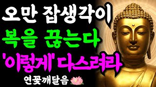 아무리 애써도 일이 꼬이고 불행하다면, 잡생각이 복을 끊고 있기 때문입니다. 부처님이 알려주신 마음 다스리는 법 | 법구경 | 부처님 말씀 | 석가모니 | 불교명언 | 불교오디오북