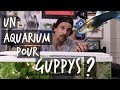 Un aquarium pour guppys   tuto toopet
