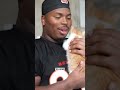 Best way to celebrate National Kitten Day.