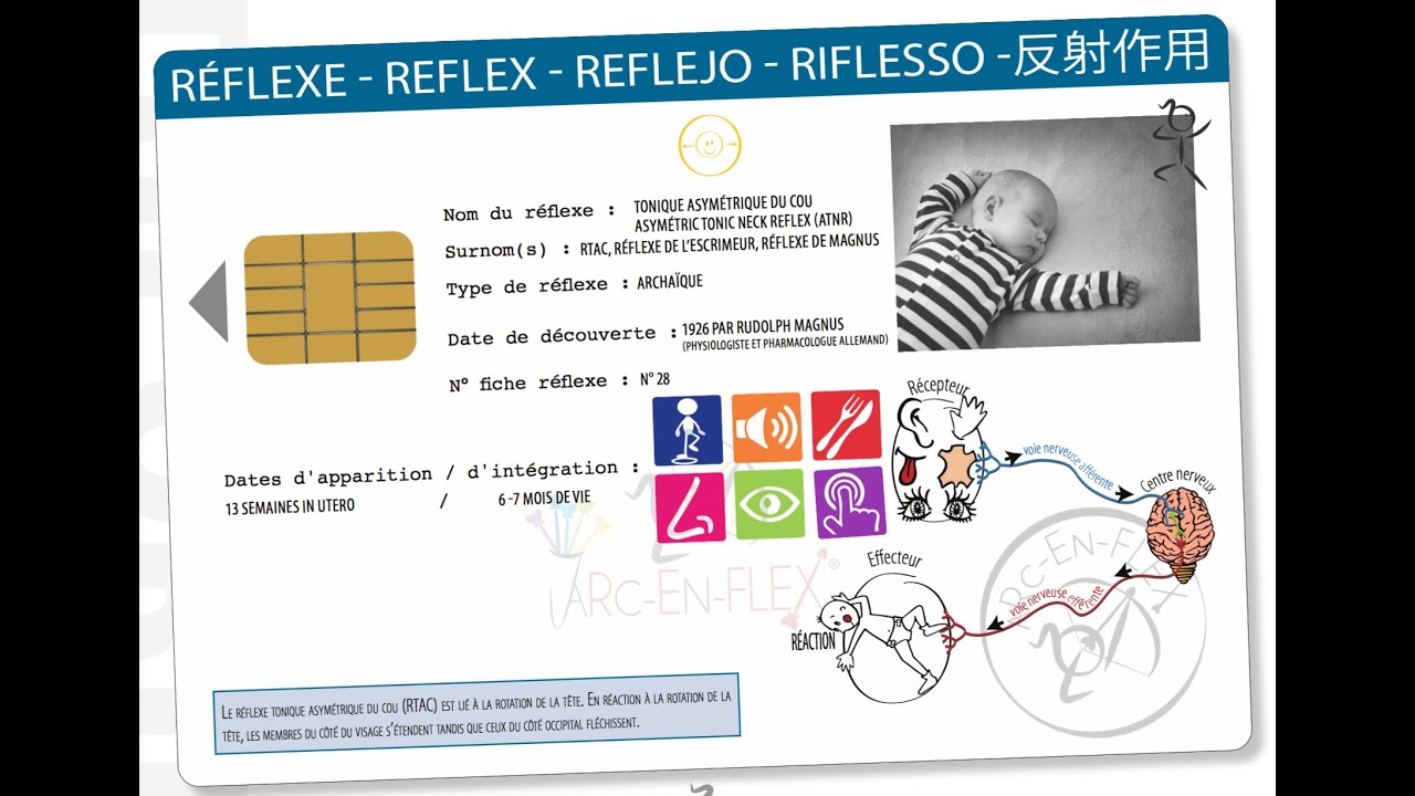 Réflexe tonique asymétrique du cou (RTAC) - Observations basiques sensorielles debout Arc-en-flex