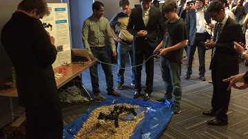 Capstone Team: Salamander Robot