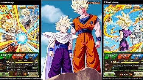 NEW GOKU/GOHAN DOKKAN BATTLE UNIT ANIMATIONS - NEW STR UR SSJ GOKU & GOHAN ATTACKS/EXCHANGE/COUNTER
