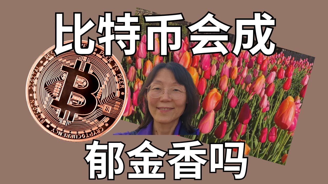 比特币会成为下一个郁金香吗？Will Bitcoin Become the Next Tulip Mania?