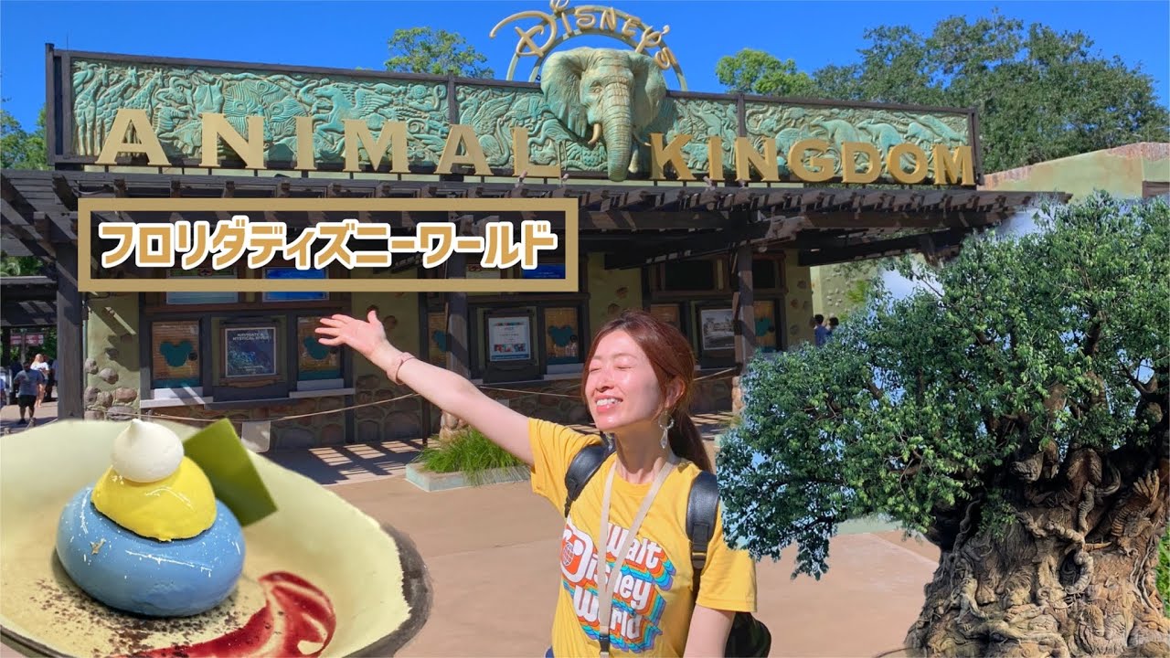 ANIMAL KINGDOM アニマルキングダム】フロリダディズニー旅行記 第5弾