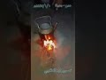 حياة البر انشودة حياة البر انشودة