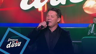 Elvir Portoriko - Moje bivse zene - PZD - (LIVE) - (Tv Grand 12.01.2026.) Elvir Portoriko - Moje bivse zene - PZD - (LIVE) - (Tv Grand 12.01.2026.)