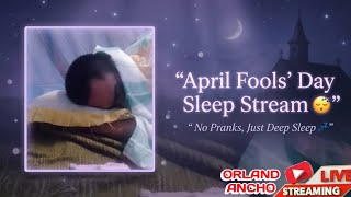 April Fools’ Day Sleep Stream 😴 No Pranks, Just Deep Sleep 💤